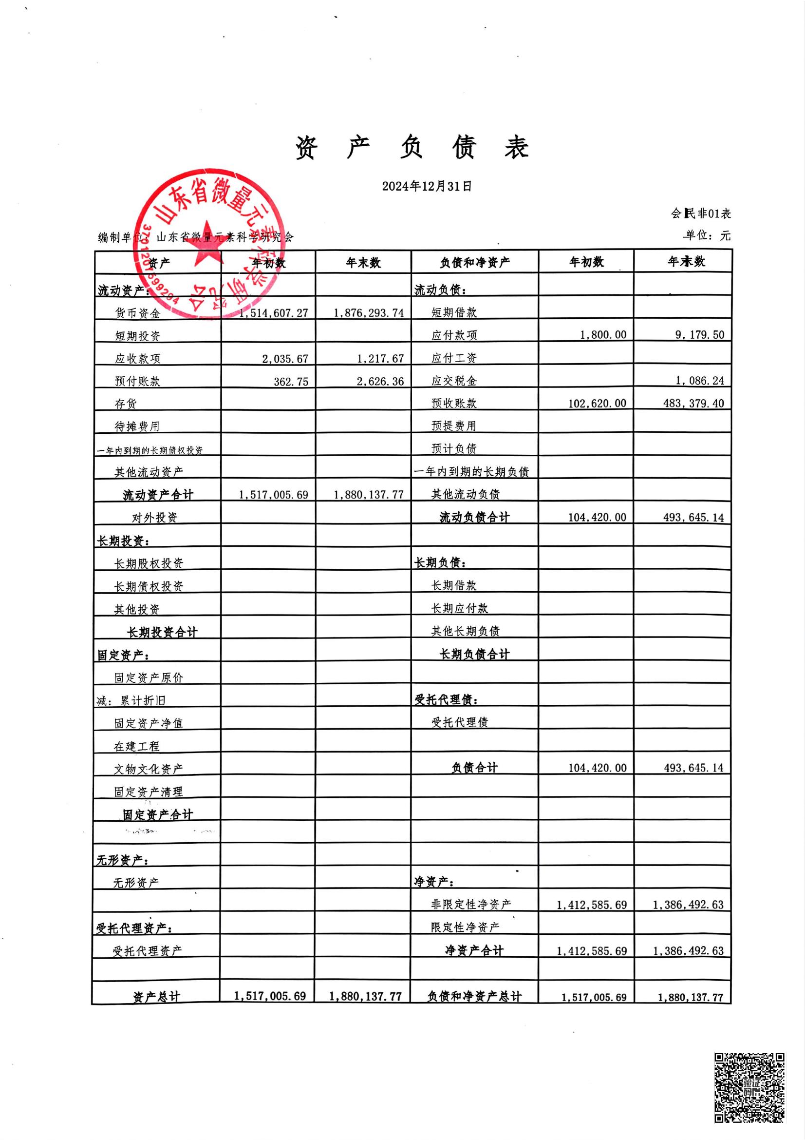 山东省微量元素科学研究会2024年度审计报告(图11)
